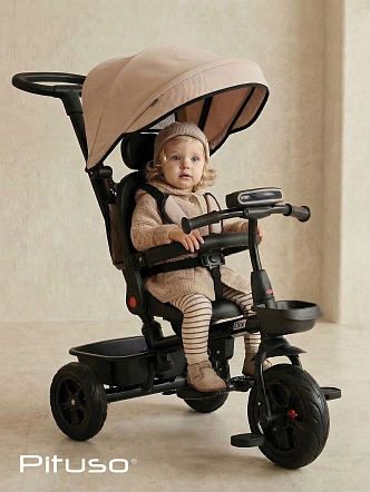 Велосипед Pituso трехколесный Elite  10"/8" JY-T07B-25 купить — фото 27