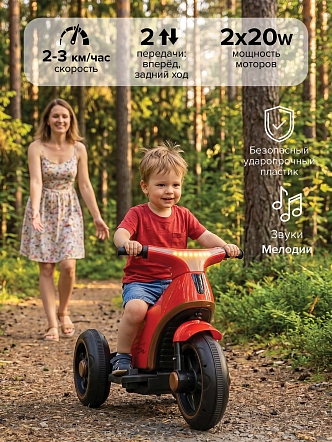 Электромотоцикл Pituso 6V/7Ah, двойной привод TM-013 купить — фото 14