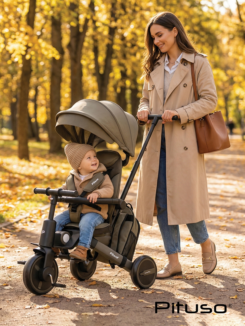 Велосипед Pituso трехколесный Leve Pro складной/сумка T8 PLUS купить — фото 38