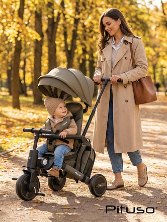 Велосипед Pituso трехколесный Leve Pro складной/сумка T8 PLUS купить — фото 38