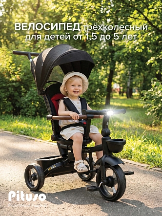 Велосипед Pituso трехколесный Elite Pro HM-618 купить — фото 18