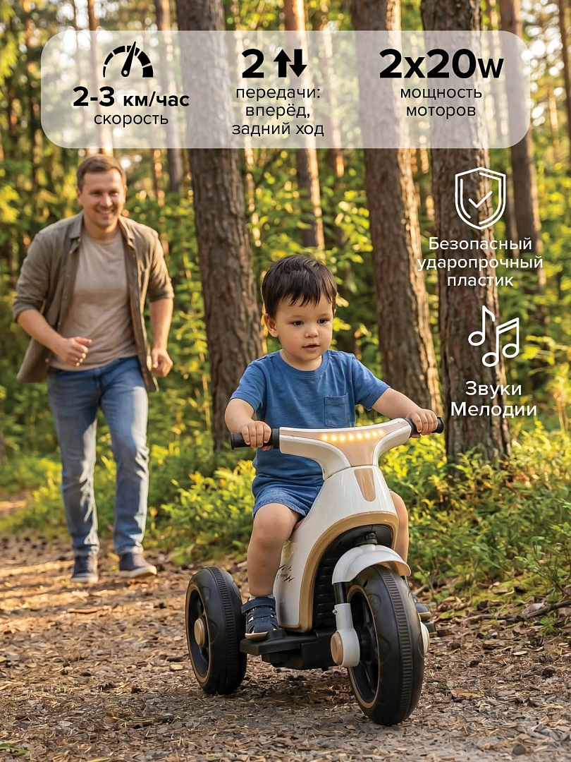 Электромотоцикл Pituso 6V/7Ah, двойной привод TM-013 купить — фото 14