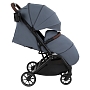 Коляска детская Pituso ICE (прогулочная) IC/001 купить — фото 4