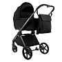 Коляска Pituso 2 в1 Teffy короб+прогулка TFY/999 купить — фото 2