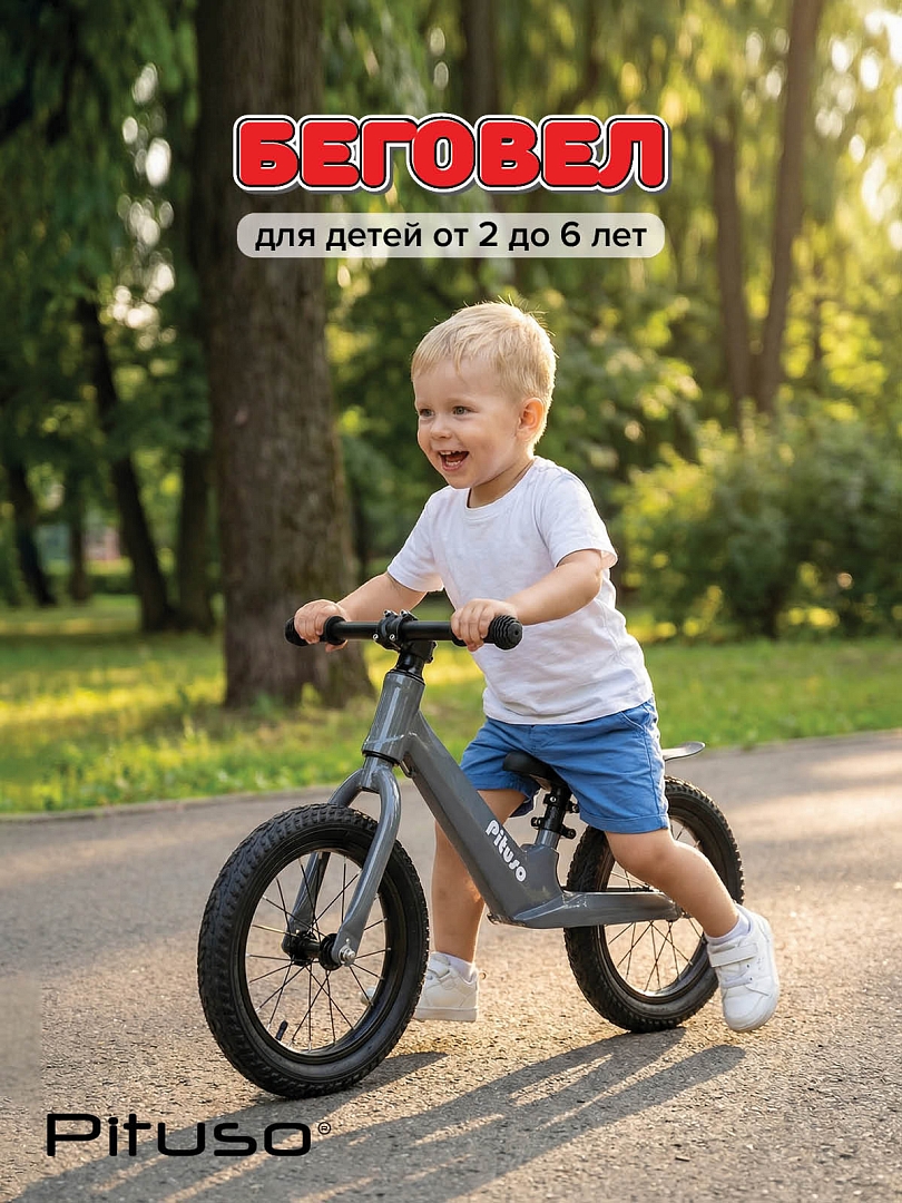 Беговел Pituso Ritmo, magnesium, колеса AIR 14" LY-H-20 купить — фото 9
