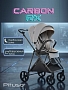 Коляска детская Pituso CARBON RX (прогулочная) X-666 купить — фото 34