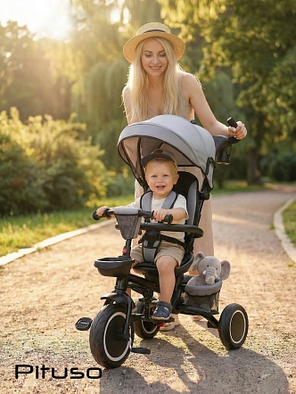 Велосипед Pituso трехколесный Elite Plus 10"/8" JY-T05Plus-25 купить — фото 27